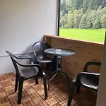 Apart Otel Gaestehaus Schneeberger 3*