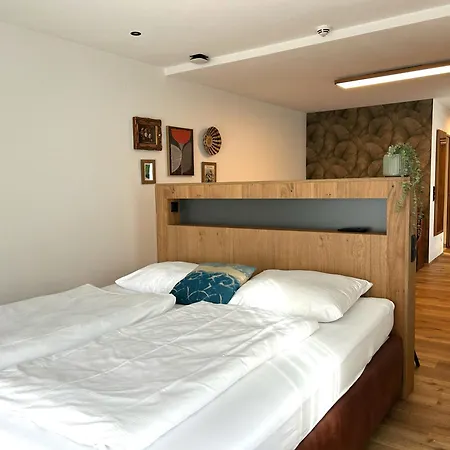 Gaestehaus Schneeberger 3* Mayrhofen